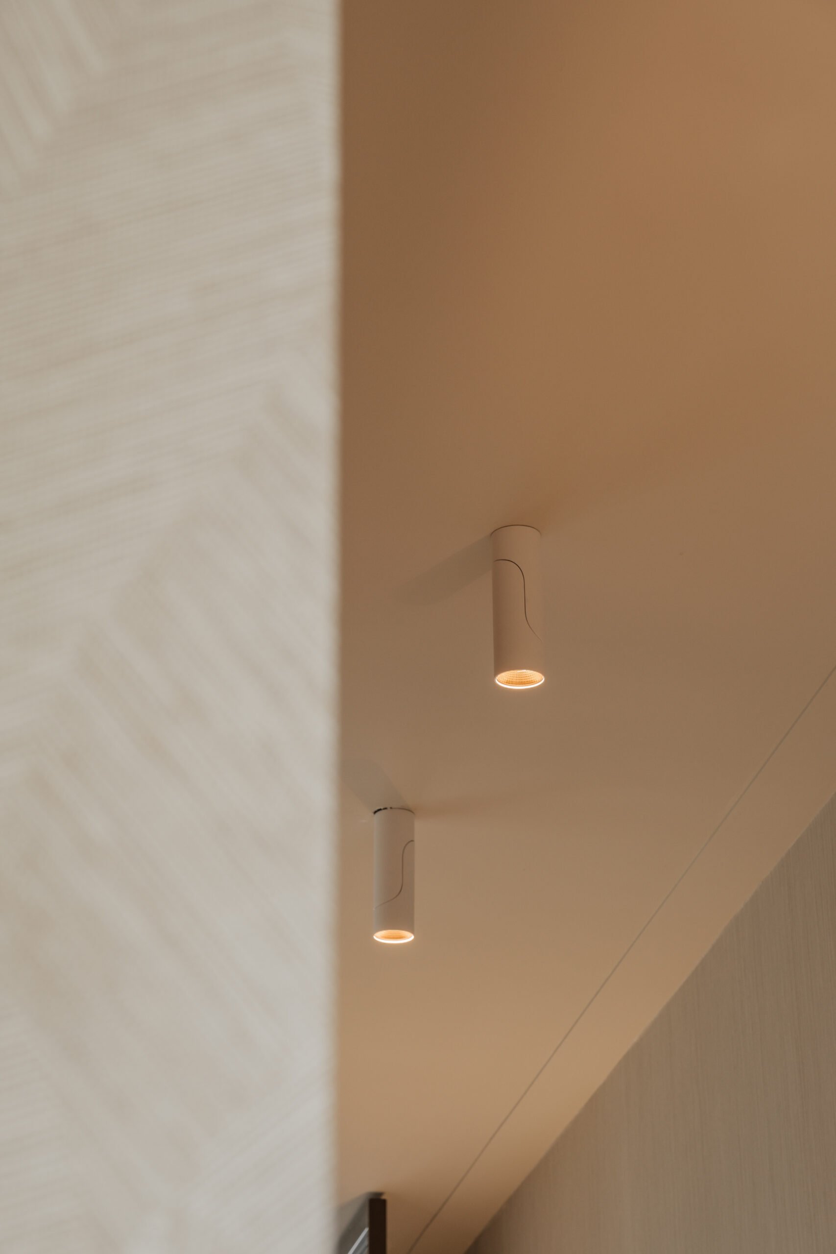 Emmastraat Residentieel Eclectic Lighting 4 scaled